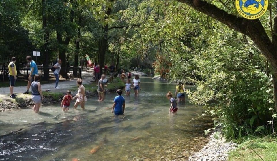 A 30 km da Milano si trova un parco dove puoi camminare in acqua tra i pesci