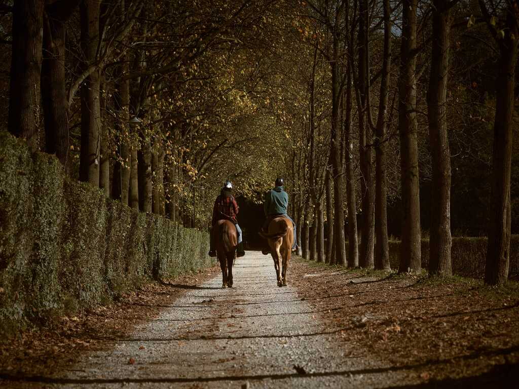 Foto Cavalli a passeggio
