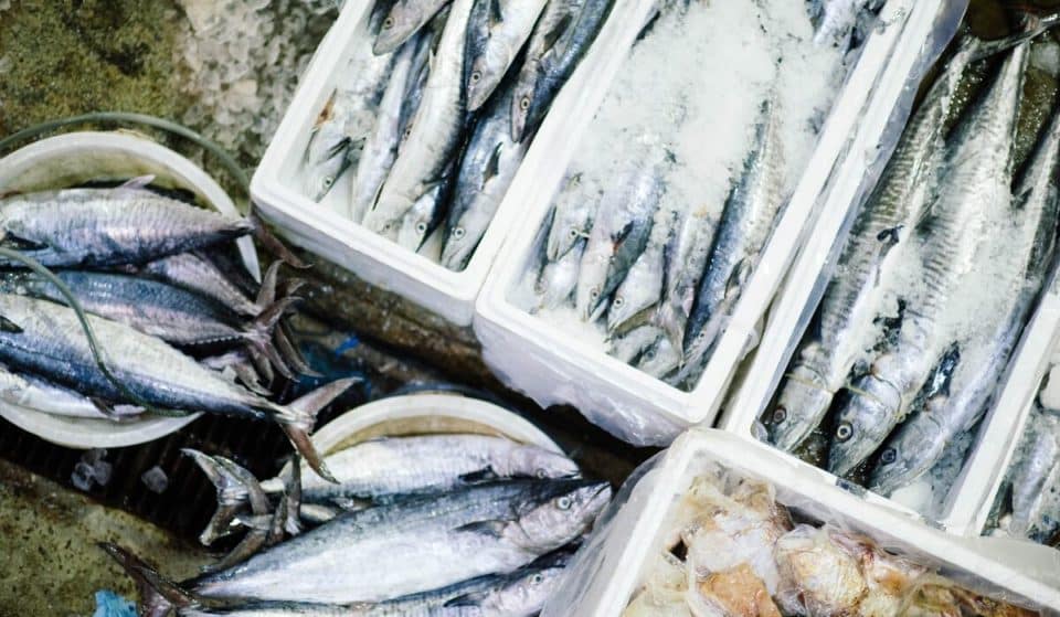 Il più grande mercato di pesce d’Italia si trova a Milano