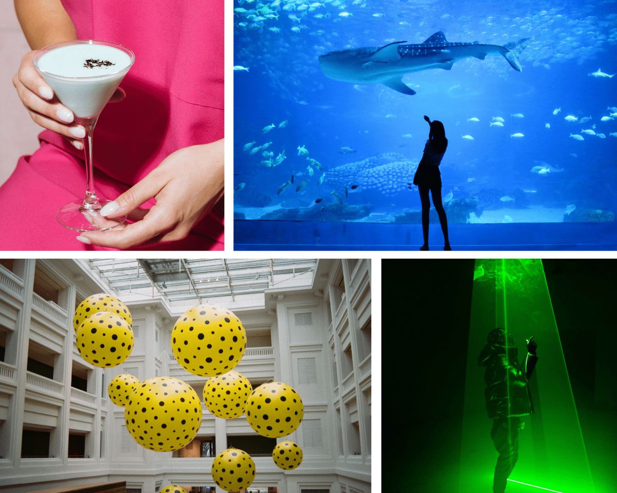 Un collage di immagini che immortalano cose divertenti da fare, come immagini di un museo, cocktail, luci laser e un acquario.